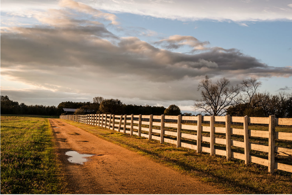 Farm in Monroe County, AL