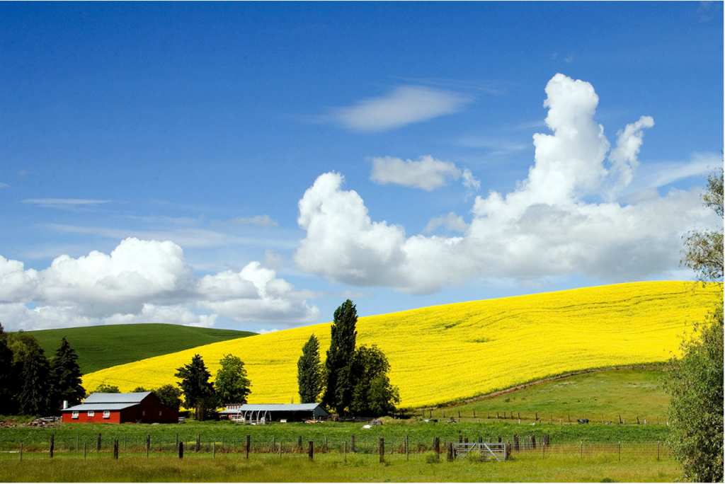 Idaho Farm